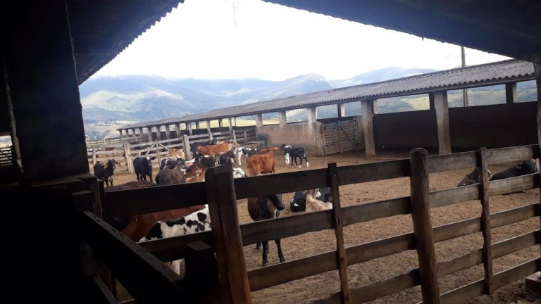 Imagem Fazenda à Venda, 100 m² em Centro - Aiuruoca Imagem Fazenda à Venda, 100 m² em Centro - Aiuruoca