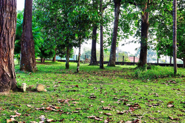 Imagem Terreno à Venda, 48 m² em Flores - Manaus