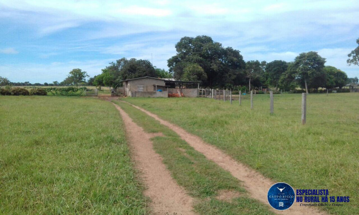 Imagem Fazenda à Venda, 1 m² em Zona Rural - Araguaiana Imagem Fazenda à Venda, 1 m² em Zona Rural - Araguaiana