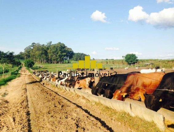 Imagem Chácara à Venda, 365 m² em Itapetininga Imagem Chácara à Venda, 365 m² em Itapetininga
