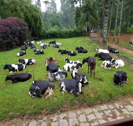 Imagem Imóvel à Venda, em Bocaina De Minas Imagem Imóvel à Venda, em Bocaina De Minas