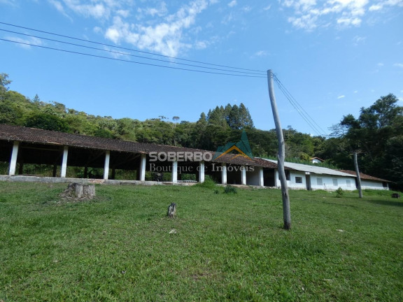 Imagem Imóvel com 3 Quartos para Alugar, 72.000 m² em Granja Mafra - Teresópolis Imagem Imóvel com 3 Quartos para Alugar, 72.000 m² em Granja Mafra - Teresópolis
