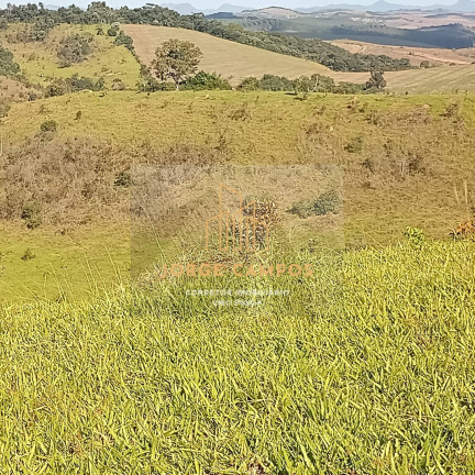 Imagem Fazenda à Venda, 190 m² em área Rural - Minduri Imagem Fazenda à Venda, 190 m² em área Rural - Minduri
