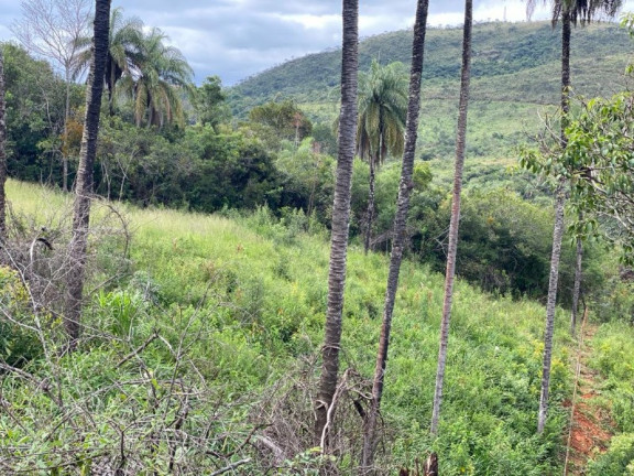 Imagem Imóvel à Venda, 3.629 m² em Quintas Da Serra - Caeté Imagem Imóvel à Venda, 3.629 m² em Quintas Da Serra - Caeté