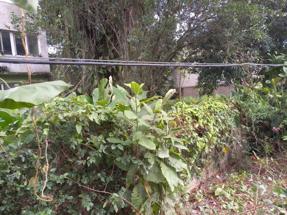 Terreno à Venda, 1.196 m² em Itaipu - Niterói