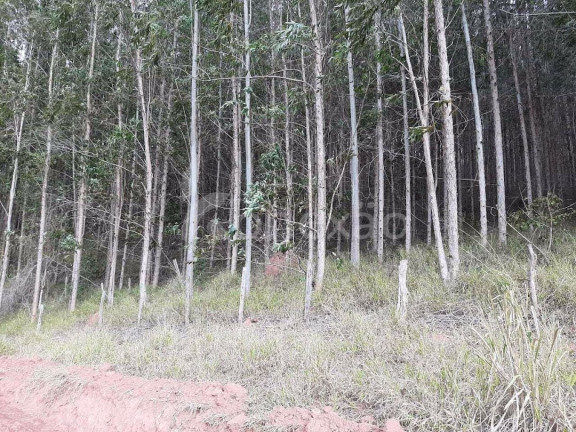 Imagem Chácara com 3 Quartos à Venda, 200 m² em Centro - Paraibuna Imagem Chácara com 3 Quartos à Venda, 200 m² em Centro - Paraibuna