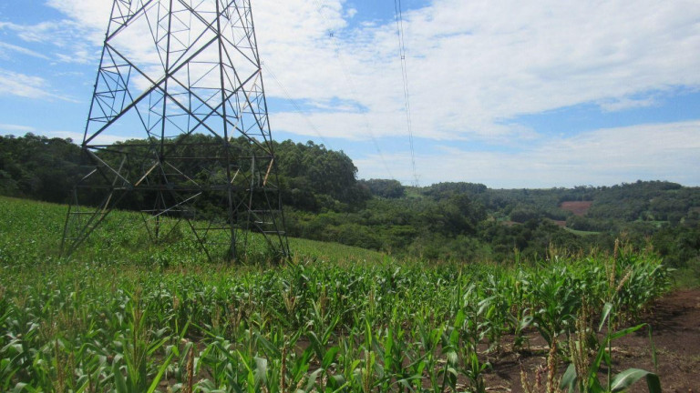 Imagem Terreno à Venda, 120.000 m² em Rural - Concórdia Imagem Terreno à Venda, 120.000 m² em Rural - Concórdia