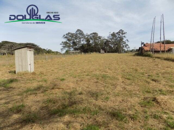 Imagem Chácara à Venda, 5.000 m² em Viamão