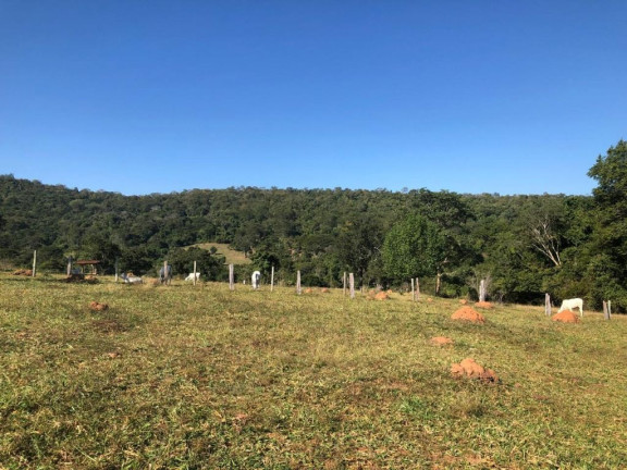 Imagem Fazenda à Venda, 229.899 m² em Centro - Córrego Do Ouro Imagem Fazenda à Venda, 229.899 m² em Centro - Córrego Do Ouro