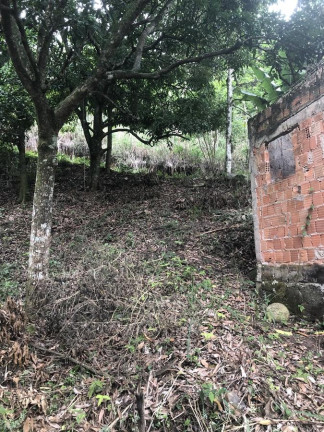 Imagem Imóvel à Venda, 1.200 m² em Campo Grande - Rio De Janeiro Imagem Imóvel à Venda, 1.200 m² em Campo Grande - Rio De Janeiro