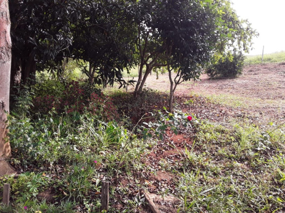 Imagem Chácara com 1 Quarto à Venda, 100 m² em Zona Rural - São Luíz Do Paraitinga Imagem Chácara com 1 Quarto à Venda, 100 m² em Zona Rural - São Luíz Do Paraitinga