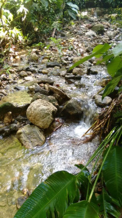 Imagem Terreno à Venda, 300.000 m² em Maresias - São Sebastião