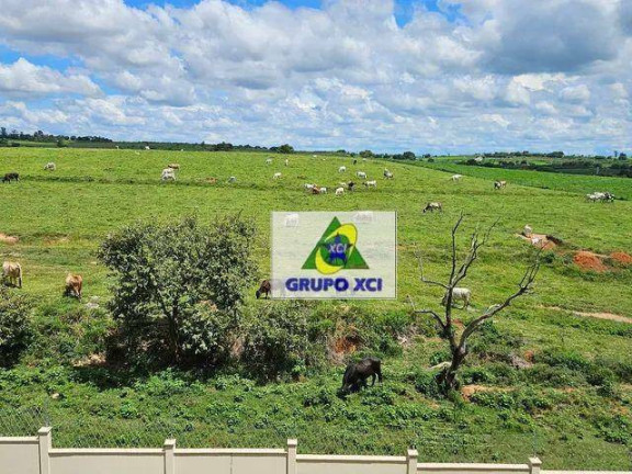 Imagem Apartamento com 3 Quartos à Venda, 93 m² em Swiss Park - Campinas Imagem Apartamento com 3 Quartos à Venda, 93 m² em Swiss Park - Campinas