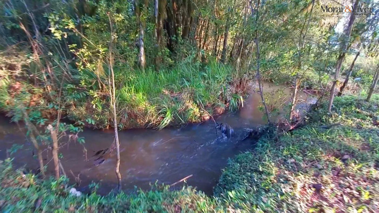 Imagem Chácara à Venda, 32.800 m² em Ambrósio - Tijucas Do Sul