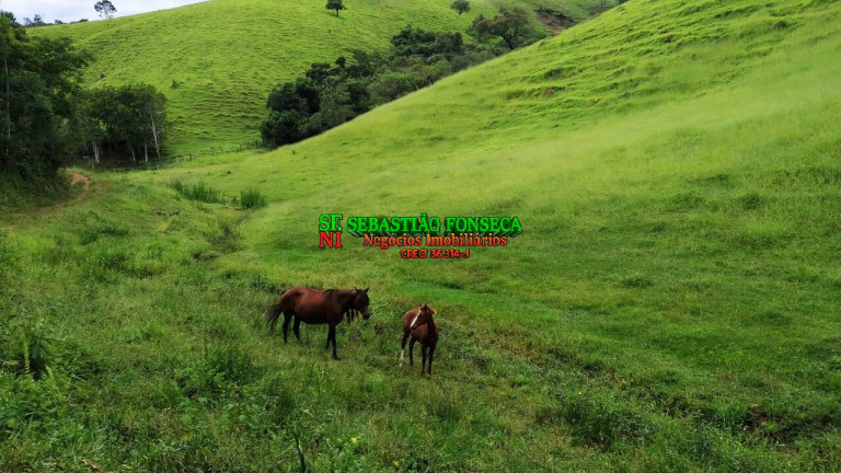 Imagem Fazenda à Venda, 65 m² em Centro - Cunha Imagem Fazenda à Venda, 65 m² em Centro - Cunha