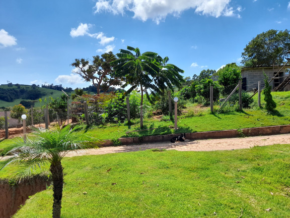 Imagem Imóvel com 6 Quartos à Venda, 2.800 m² em Marambaia (rural) - Bandeira Do Sul Imagem Imóvel com 6 Quartos à Venda, 2.800 m² em Marambaia (rural) - Bandeira Do Sul