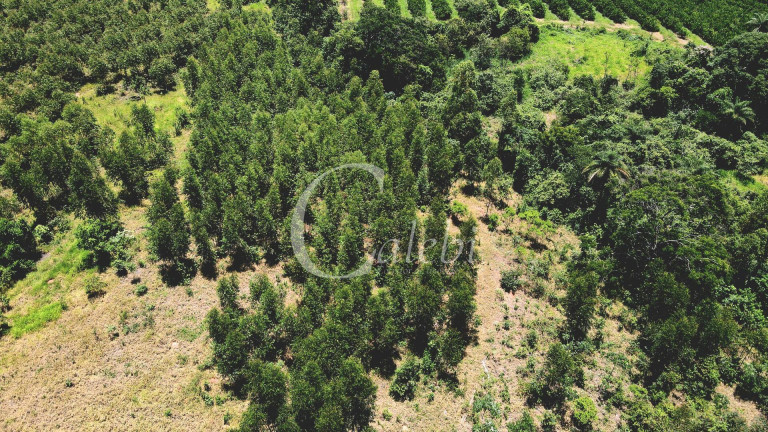 Imagem Chácara à Venda, 4 m² em área Rural De Mogi Guaçu - Mogi Guaçu Imagem Chácara à Venda, 4 m² em área Rural De Mogi Guaçu - Mogi Guaçu