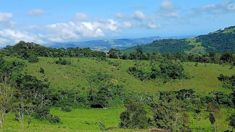Imagem Chácara à Venda, 2 m² em São João Da Boa Vista Imagem Chácara à Venda, 2 m² em São João Da Boa Vista