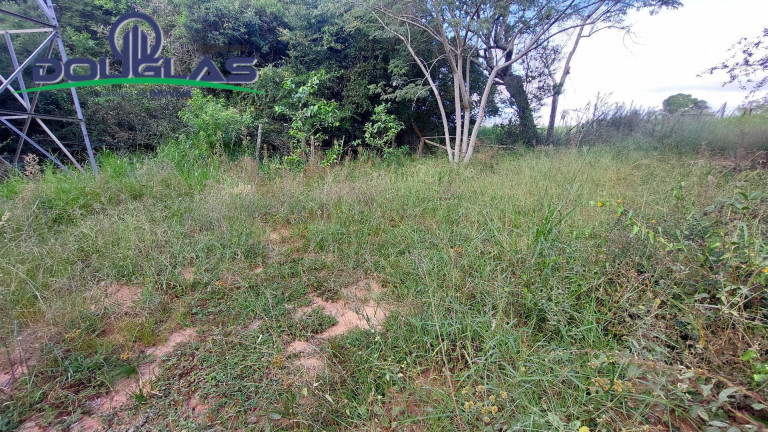 Imagem Chácara à Venda,  em águas Claras - Viamão