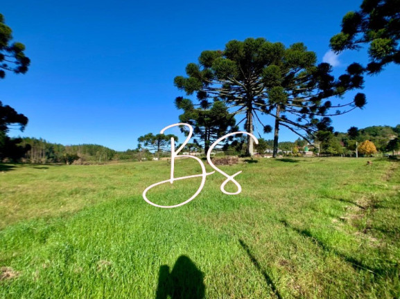 Imagem Imóvel com 2 Quartos à Venda, 40.000 m² em Serra Grande - Gramado Imagem Imóvel com 2 Quartos à Venda, 40.000 m² em Serra Grande - Gramado