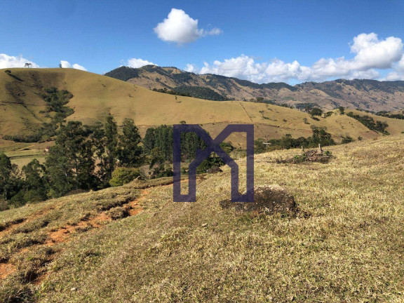 Imagem Fazenda à Venda, 417.500 m² em área Rural De Itajubá - Itajubá