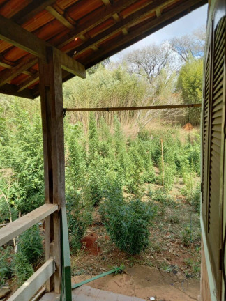 Imagem Chácara com 2 Quartos à Venda, 800 m² em Tanque - Atibaia Imagem Chácara com 2 Quartos à Venda, 800 m² em Tanque - Atibaia