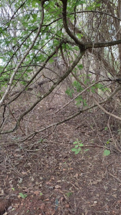 Imagem Chácara à Venda, 47 m² em Montes Claros Imagem Chácara à Venda, 47 m² em Montes Claros