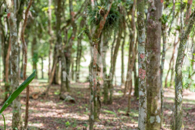 Imagem Terreno à Venda,  em Rio Do Meio - Camboriu