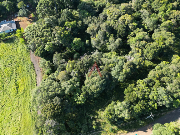 Imagem Terreno à Venda, 375 m² em Boqueirão - Guarapuava Imagem Terreno à Venda, 375 m² em Boqueirão - Guarapuava
