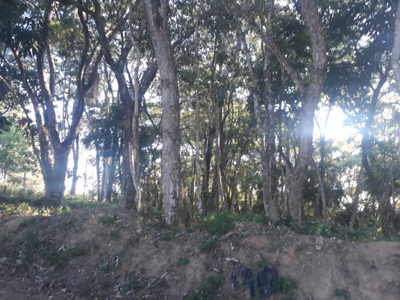 Imagem Terreno à Venda, 1.000 m² em Ortizes - Piedade Imagem Terreno à Venda, 1.000 m² em Ortizes - Piedade
