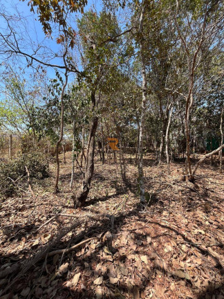 Imagem Terreno à Venda, 1 m² em Condomínio Veredas Da Lagoa - Lagoa Santa Imagem Terreno à Venda, 1 m² em Condomínio Veredas Da Lagoa - Lagoa Santa