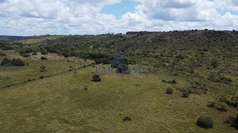 Imagem Fazenda à Venda, 579.000 m² em Zona Rural - Entre Rios Imagem Fazenda à Venda, 579.000 m² em Zona Rural - Entre Rios