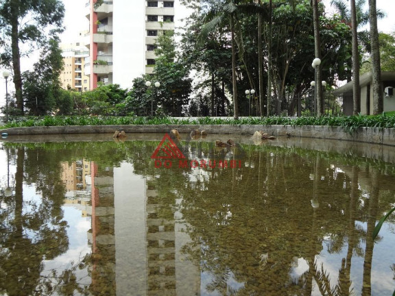 Imagem Apartamento com 4 Quartos à Venda, 440 m² em Morumbi - São Paulo Imagem Apartamento com 4 Quartos à Venda, 440 m² em Morumbi - São Paulo