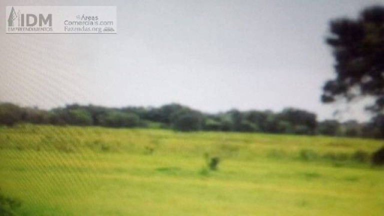 Imagem Chácara à Venda, 878.700.000 m² em Centro - Poconé