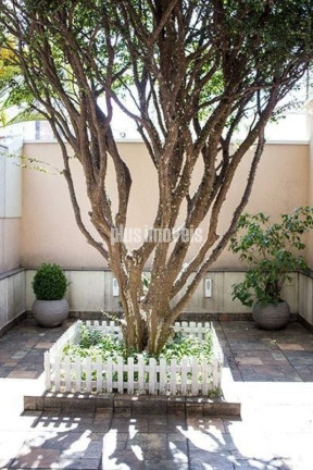 Imagem Casa com 4 Quartos à Venda, 190 m² em Perdizes - São Paulo Imagem Casa com 4 Quartos à Venda, 190 m² em Perdizes - São Paulo