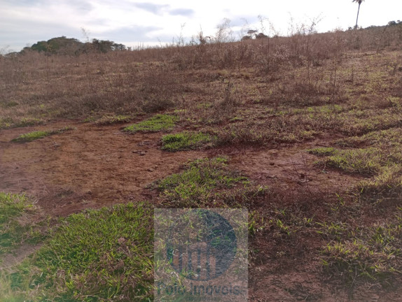 Imagem Imóvel à Venda, 240.000 m² em Rural - Altinópolis