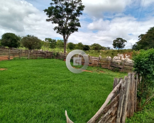 Imagem Imóvel com 5 Quartos à Venda, 100 m² em Nova Esperança - Montes Claros Imagem Imóvel com 5 Quartos à Venda, 100 m² em Nova Esperança - Montes Claros
