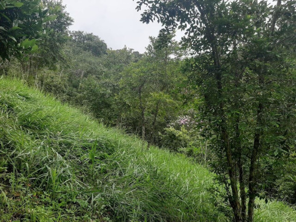 Imagem Chácara com 3 Quartos à Venda, 250 m² em Pouso Alto - Natividade Da Serra Imagem Chácara com 3 Quartos à Venda, 250 m² em Pouso Alto - Natividade Da Serra