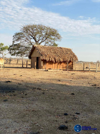 Imagem Fazenda à Venda, 302 m² em Zona Rural - Araguaiana Imagem Fazenda à Venda, 302 m² em Zona Rural - Araguaiana