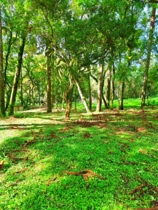 Imagem Chácara com 1 Quarto à Venda, 6.050 m² em Jardim Bela Vista - Balsa Nova