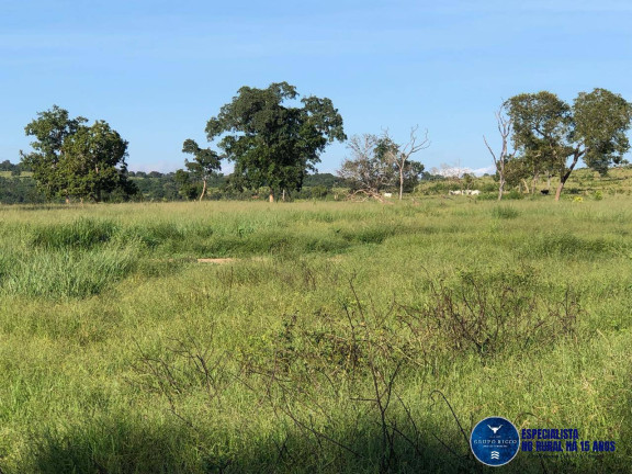 Imagem Fazenda à Venda, 166 m² em Zona Rural - Torixoréu Imagem Fazenda à Venda, 166 m² em Zona Rural - Torixoréu