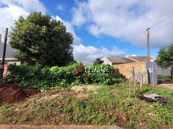 Terreno à Venda, 650 m² em Santa Felicidade - Cascavel