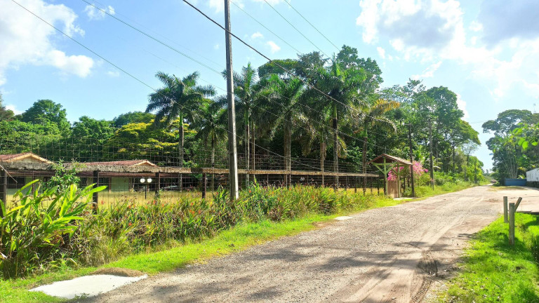 Imagem Casa com 4 Quartos à Venda, 4.200 m² em Benevides Imagem Casa com 4 Quartos à Venda, 4.200 m² em Benevides