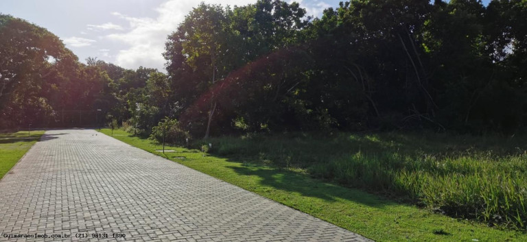 Imagem Terreno à Venda, 600 m² em Praia Do Forte - Mata De São João