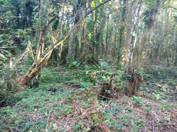 Imagem Chácara à Venda, 1.250 m² em Jardim Aguapeú - Itanhaém Imagem Chácara à Venda, 1.250 m² em Jardim Aguapeú - Itanhaém