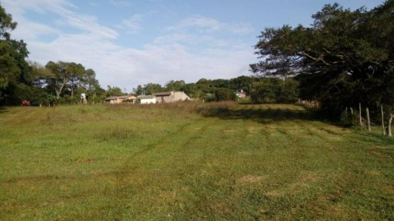 Imagem Chácara à Venda, 5.536 m² em águas Claras - Viamão