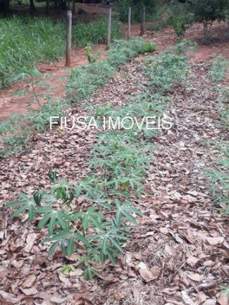 Imagem Imóvel com 4 Quartos à Venda, em Rural - Rifaina Imagem Imóvel com 4 Quartos à Venda, em Rural - Rifaina