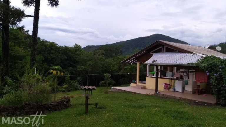 Imagem Chácara com 2 Quartos à Venda, 90.000 m² em Moreira - Gramado Imagem Chácara com 2 Quartos à Venda, 90.000 m² em Moreira - Gramado