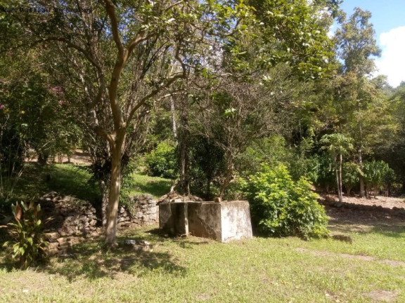 Imagem Imóvel com 3 Quartos à Venda, 70 m² em Linha Pirajá - Nova Petrópolis Imagem Imóvel com 3 Quartos à Venda, 70 m² em Linha Pirajá - Nova Petrópolis