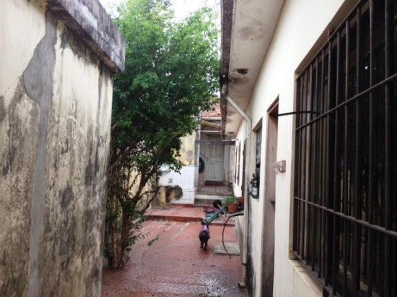 Imagem Casa com 3 Quartos à Venda, 260 m² em Vila São Geraldo - São Paulo Imagem Casa com 3 Quartos à Venda, 260 m² em Vila São Geraldo - São Paulo